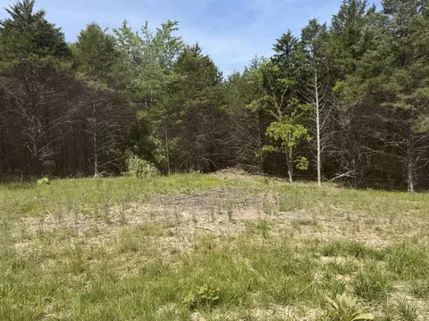000 County Road 318 #LOT 5, Tecumseh, MO 65760 photo 26