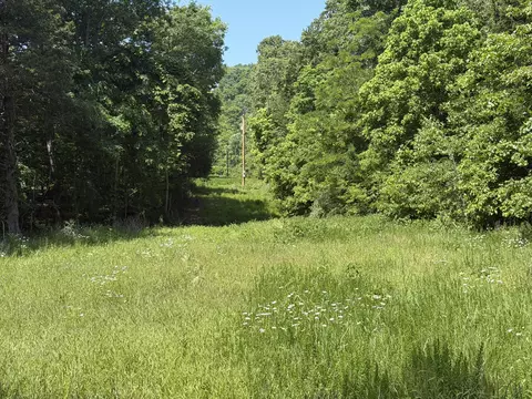 000 County Road 318 #LOT 5, Tecumseh, MO 65760 photo 35