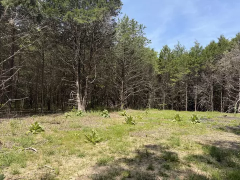 000 County Road 318 #LOT 5, Tecumseh, MO 65760 photo 30