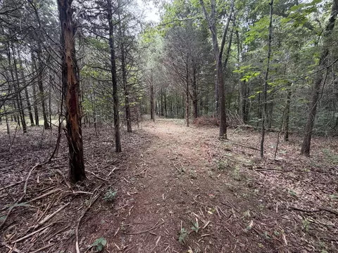 000 County Road 318 #LOT 5, Tecumseh, MO 65760 photo 5