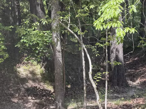 000 County Road 318 #LOT 5, Tecumseh, MO 65760 photo 31
