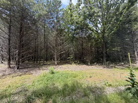 000 County Road 318 #LOT 6, Sycamore, MO 65760