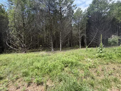 000 County Road 318 #LOT 8, Tecumseh, MO 65760