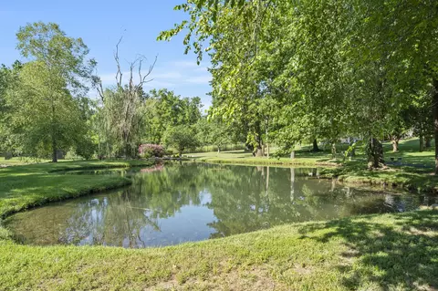 View/Area - 1646 W Caleb Ct, Springfield, MO 65810 photo 8 of 18