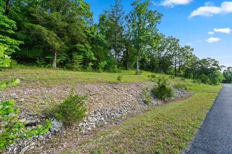 tbd Cedar Blf #LOT 91A, Saddlebrooke, MO 65630 photo 3