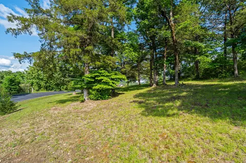 tbd Cedar Blf #LOT 91A, Saddlebrooke, MO 65630 photo 6