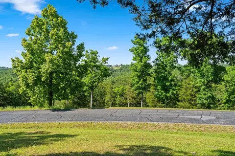 tbd Cedar Blf #LOT 91A, Saddlebrooke, MO 65630 photo 9