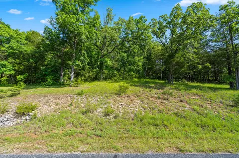tbd Cedar Blf #LOT 91A, Saddlebrooke, MO 65630 photo 2