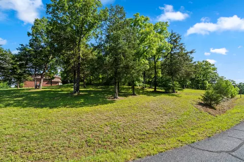 tbd Cedar Blf #LOT 91A, Saddlebrooke, MO 65630 photo 7
