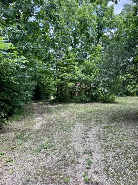 Exterior - 951 E County Road 206, Alton, MO 65606 photo 6 of 6