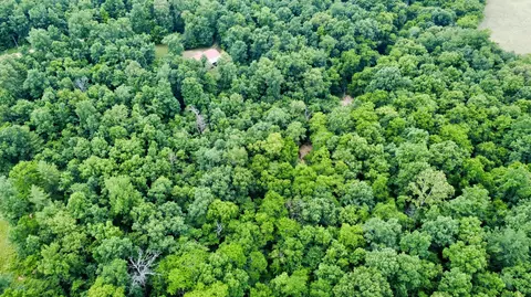 View/Area - 951 E County Road 206, Alton, MO 65606 photo 2 of 2