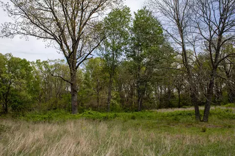 Other - 370 Hayes Spring Dr, Crane, MO 65633 photo 15 of 18
