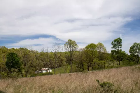 Exterior - 370 Hayes Spring Dr, Crane, MO 65633 photo 3 of 4