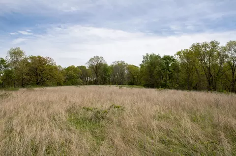 Other - 370 Hayes Spring Dr, Crane, MO 65633 photo 9 of 18