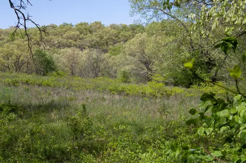 Other - 370 Hayes Spring Dr, Crane, MO 65633 photo 13 of 18