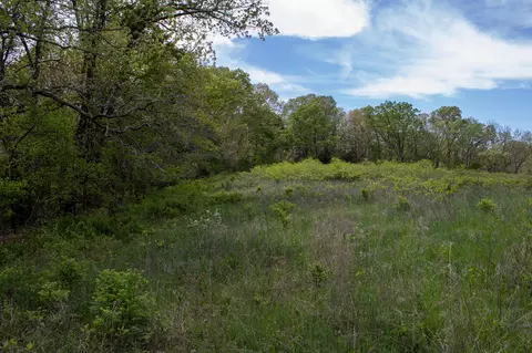 Other - 370 Hayes Spring Dr, Crane, MO 65633 photo 14 of 18