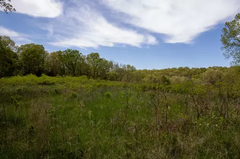 Other - 370 Hayes Spring Dr, Crane, MO 65633 photo 7 of 18