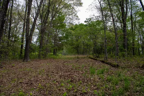 Other - 370 Hayes Spring Dr, Crane, MO 65633 photo 12 of 18
