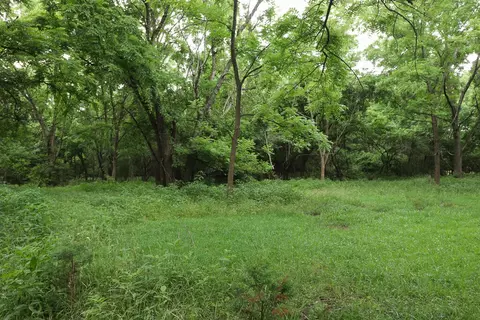 000 E Valley Water Mill Rd, Springfield, MO 65803 photo 24