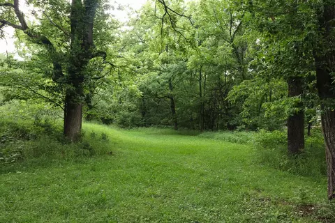 000 E Valley Water Mill Rd, Springfield, MO 65803 photo 25