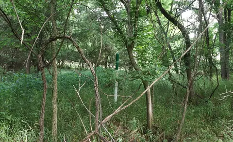 000 E Valley Water Mill Rd, Springfield, MO 65803 photo 20