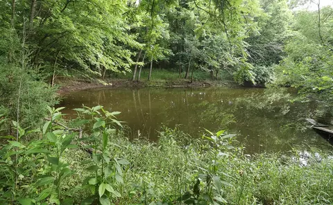 000 E Valley Water Mill Rd, Springfield, MO 65803 photo 29