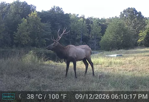 000 County Road 522, Winona, MO 65588