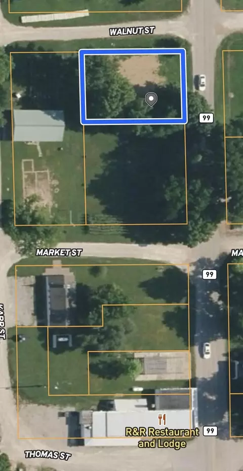 207 Walnut St, Birch Tree, MO 65438 photo 3