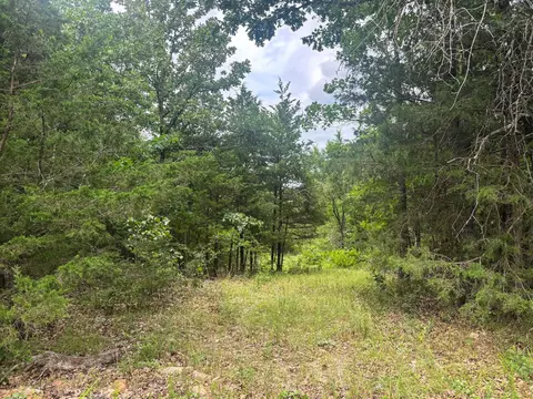000 County Road 815, Gainesville, MO 65655 photo 2