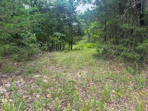 000 County Road 815, Gainesville, MO 65655 photo 4
