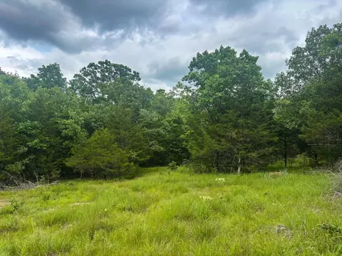 000 County Road 815, Gainesville, MO 65655 photo 3