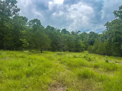 000 County Road 815, Gainesville, MO 65655 photo 5