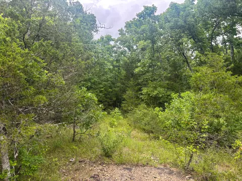 000 County Road 815, Gainesville, MO 65655 photo 6