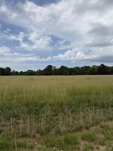 8 Oak Lawn Road, Seymour, MO 65746