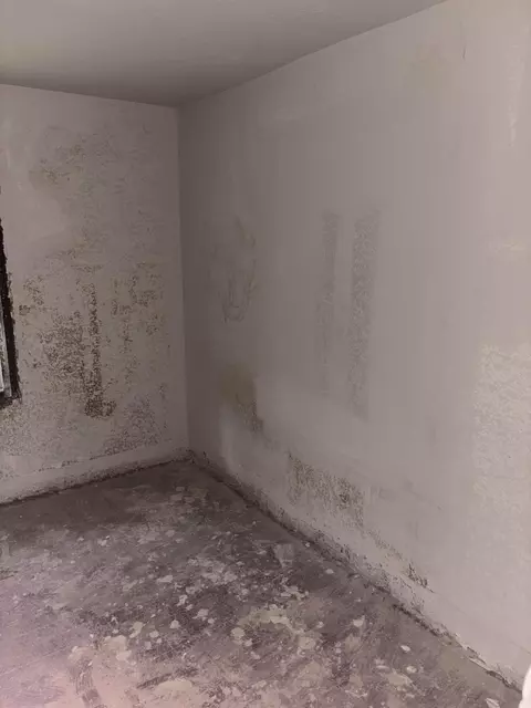 Other - 3235 W State St, Springfield, MO 65802 photo 5 of 16