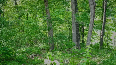 000 Arrowhead Cir, Shell Knob, MO 65747 photo 5