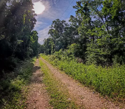 000 Arrowhead Cir, Shell Knob, MO 65747 photo 15