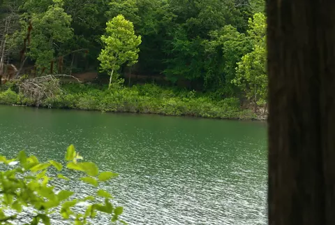 View/Area - 27094 Private Road 2234, Shell Knob, MO 65747 photo 3 of 14