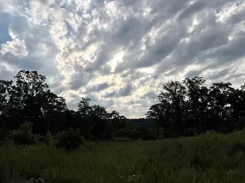 182 Royal Dornoch Dr, Branson, MO 65616 photo 3
