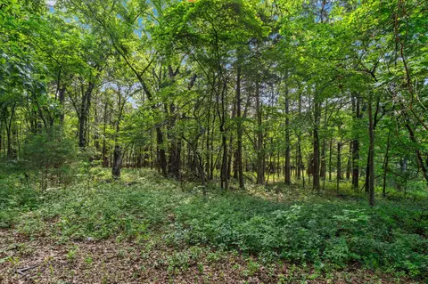 Exterior - 277 279 309 Auburn Rd, Branson, MO 65616 photo 14 of 14