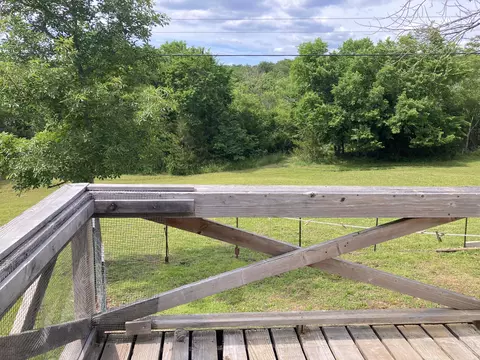225 Clarkson Rd, Protem, MO 65733 photo 29
