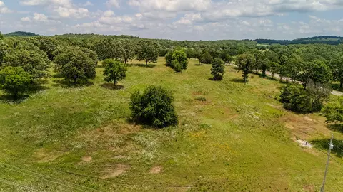 000 Dean Rd, Protem, MO 65733 photo 24