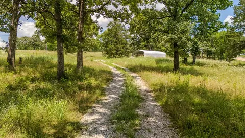 000 Dean Rd, Protem, MO 65733 photo 13