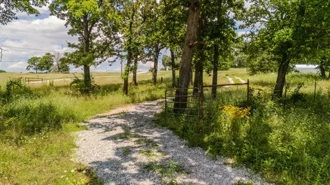 000 Dean Rd, Protem, MO 65733 photo 12