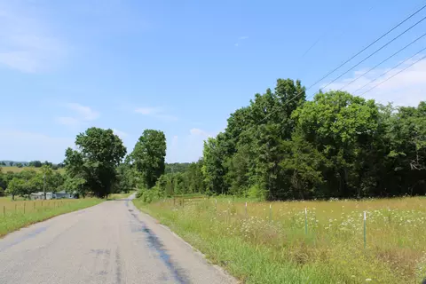 000 Dean Rd, Protem, MO 65733 photo 33