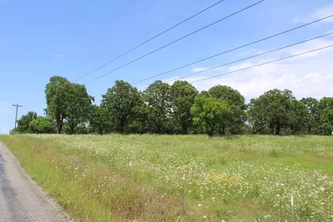 000 Dean Rd, Protem, MO 65733 photo 11