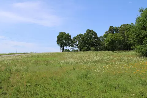 000 Dean Rd, Protem, MO 65733 photo 7