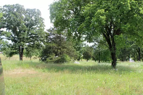 000 Dean Rd, Protem, MO 65733 photo 8