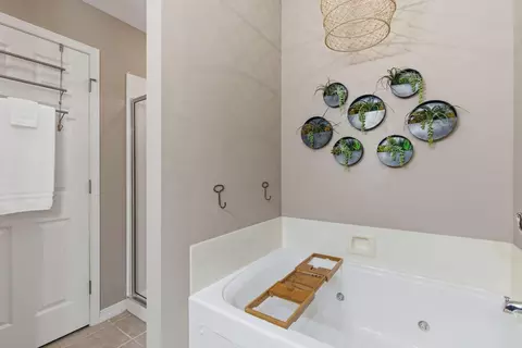 Bath - 107 Residence Ln #4, Branson, MO 65616 photo 3 of 5