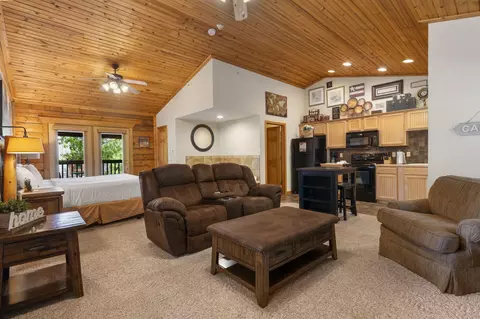 Other - 141 Rock Candy Ln, Branson, MO 65616 photo 4 of 4